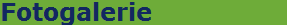 Fotogalerie