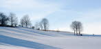 Schneelandschaft