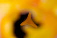 Gelb