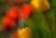 Farbpunkte