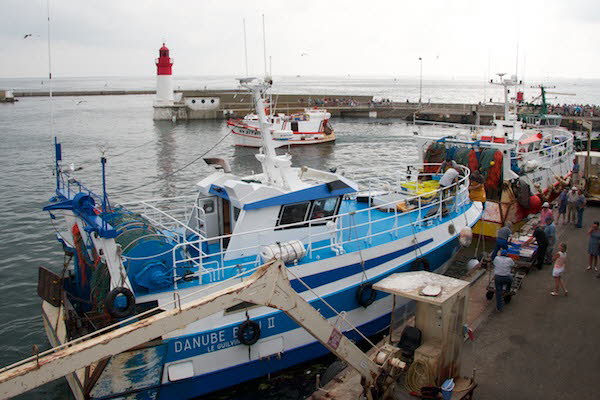 R�ckkehr der Fischer