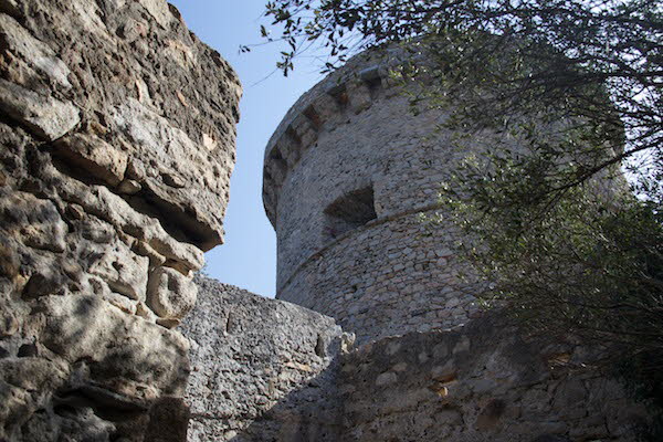 Campomoro