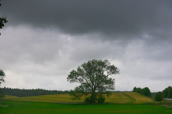 Regen im Anmarsch
