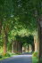 Allee