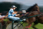 Galopper