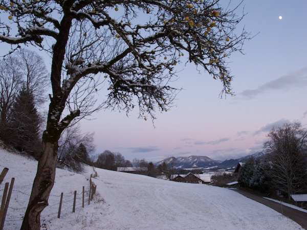 Enzensberg bei Fssen