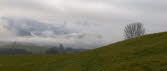 Nebel