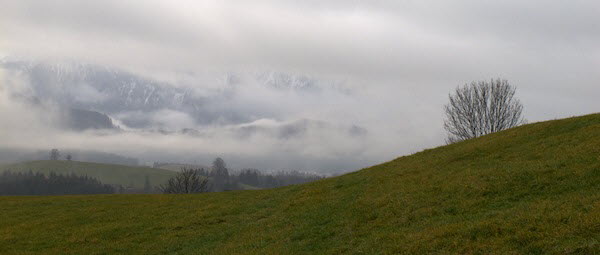 Nebel