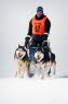 Schlittenhunderennen