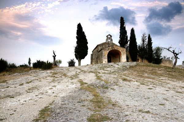 in den Alpilles